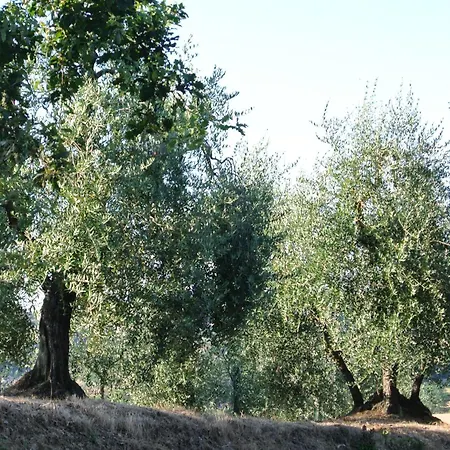 Le Logge Di Caprera Apartment Siena