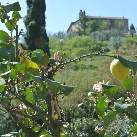 Apartman Le Logge Di Caprera