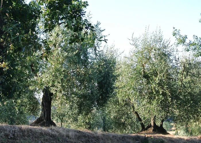 Le Logge Di Caprera Διαμέρισμα Σιένα