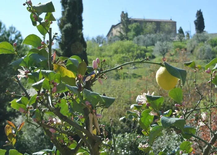 Apartman Le Logge Di Caprera